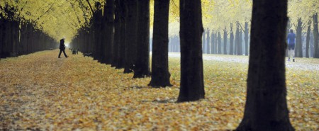 Recursos Audiovisuais: Vencendo desafios